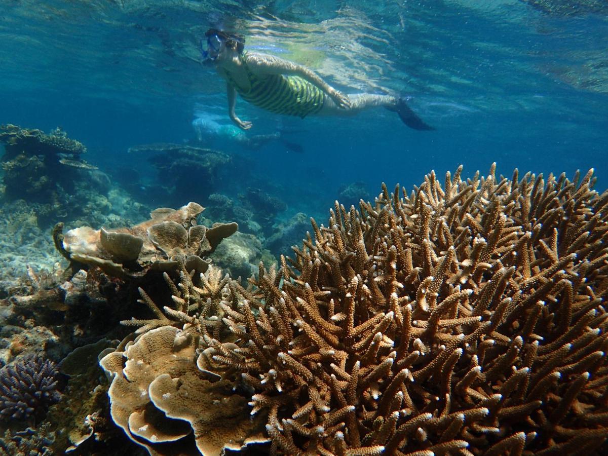 Ayu Hotel Karimunjawa Eksteriør bilde